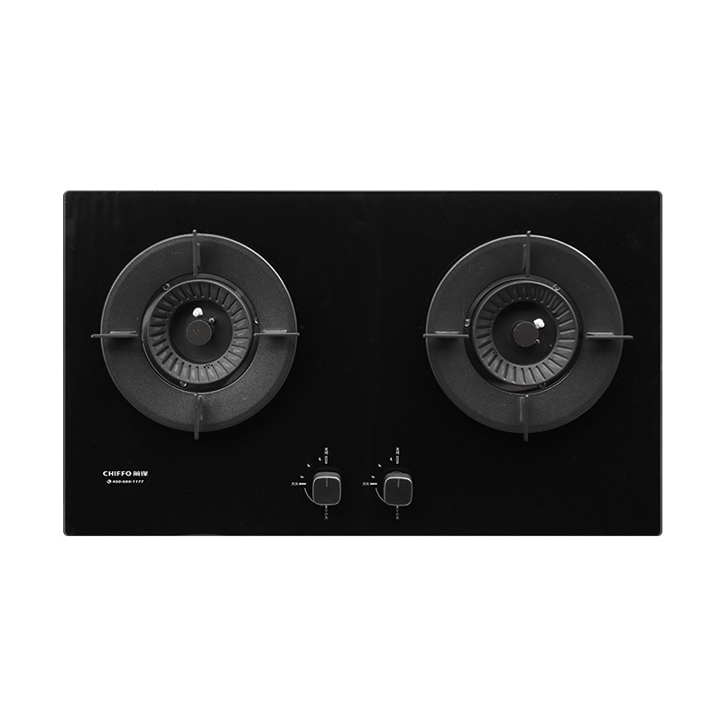 Groothandel 2-pits LPG-gaskook - Electronics & Gadgets Starting With T recensie en prijs